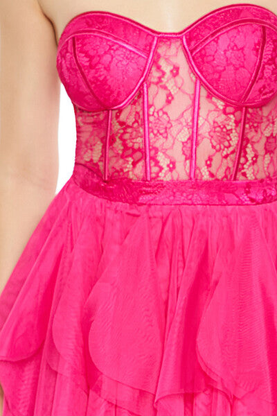 Lace & Tulle Bustier Mini Dress
